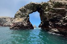 Private Full Day All Inclusive in Paracas, Huacachina and Vineyards