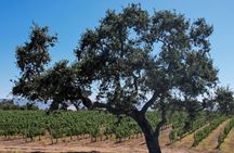 3-Winery Tour: Lunch Included from Santa Barbara in Santa Ynez