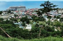 Experience City with Bus Hop on Hop Off Tours 