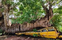 Experience City with Bus Hop on Hop Off Tours 