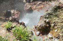 Experience City with Bus Hop on Hop Off Tours 