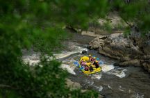 Barron River Half-Day White Water Rafting Cairns or Port Douglas