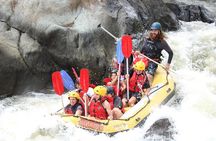 Barron River Half-Day White Water Rafting Cairns or Port Douglas