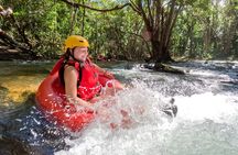 Cairns Adventure Package- 4 tours in 3 days!