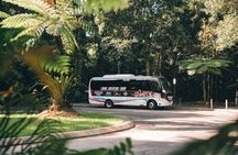Waterfalls and Rainforest Tour from Cairns