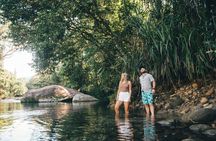 Shore Excursion: Josephine Falls Half Day Adventure 