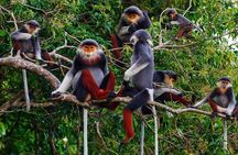CUC Phuong National Park One Day Small Group