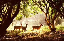 CUC Phuong National Park One Day Small Group
