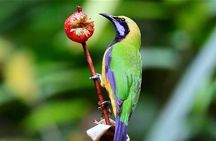CUC Phuong National Park One Day Small Group