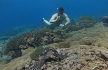 Snorkeling With Manta Rays in Nusa Penida and 4 Other Spots