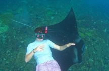 Snorkeling With Manta Rays in Nusa Penida and 4 Other Spots