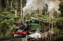 Puffing Billy Train and Phillip Island Penguin Parade Day Tour