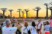 Best Price 7 Days Madagascar Family Tour with Baobabs Avenue