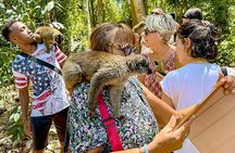 Best Price 7 Days Madagascar Family Tour with Baobabs Avenue