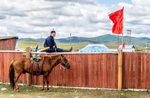 Horse Breeders’ Paradise