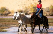 Horse Breeders’ Paradise