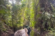 Private Mekong Delta Tour: Cai Be Village and Cajuput Forest