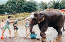 From Delhi: Taj Mahal Sunrise Tour with Elephant Conservation