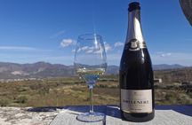 Etna Wine and Randazzo town from Taormina 