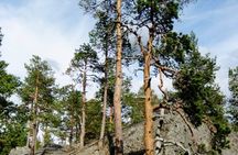 Rovaniemi Devils Churns Sculptures