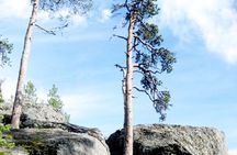 Rovaniemi Devils Churns Sculptures