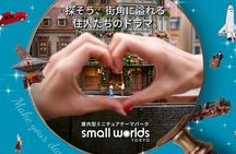 Tokyo Small Worlds Admission Ticket