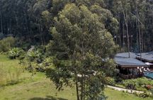 2 Days 1 Night Gorilla Trek,Cultural Village and Kigali City Tour