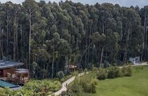 2 Days 1 Night Gorilla Trek,Cultural Village and Kigali City Tour