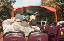 Big Bus Edinburgh Hop-On Hop-Off City and Britannia Bus Tour