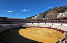 Private Guided Tour of the Bullring of Malagueta