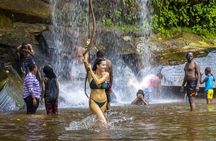 Shimba Hills Day tour from Mombasa / Diani