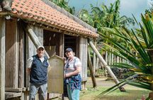 Ishigaki Island Private Tour by English Native Speaker