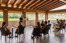 Bardolino: vineyard tour, wine, oil and food tasting