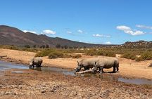 Aquila Game Reserve Safari with Park Fees Transport and Lunch