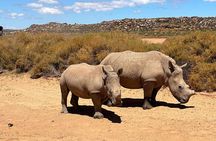 Aquila Game Reserve Safari with Park Fees Transport and Lunch