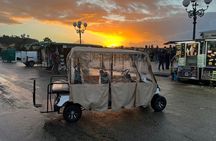 Florence Private Electric Car Tour with Guide