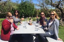 Montserrat,Vineyard, Wine Tasting Small Group Tour & Hotel Pickup