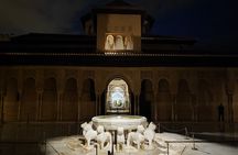 Private Night Tour of the Nasrid Palaces of the Alhambra 