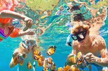 Cancun to Isla Mujeres: All-Inclusive Catamaran (Kids Sail Free)