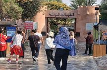 Abu Dhabi Full day Private City tour