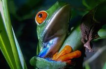 Night tour La Fortuna