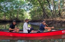 Private Wildlife Canoe Safari in the Mangrove forest.