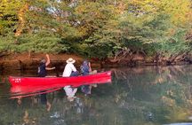 Private Wildlife Canoe Safari in the Mangrove forest.