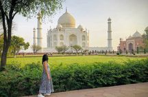 From Delhi: Taj Mahal Sunrise Tour with Elephant SOS Centre