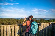 From Helsinki: Wildlife Safari with Campfire Dinner