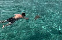 Rose Island Private 4hrs Snorkeling Turtles beaching 