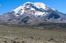 Between the Clouds A Journey to Chimborazo