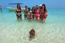 Rose Island Private 4hrs Snorkeling Turtles beaching 