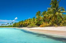 Explore Saona Island from Punta Cana Beaches Nature and Party