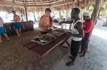 Explore Saona Island from Punta Cana Beaches Nature and Party